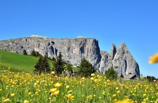 Urlaub Seiser Alm