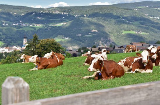 Vacanza in agriturismo a Fiè allo Sciliar