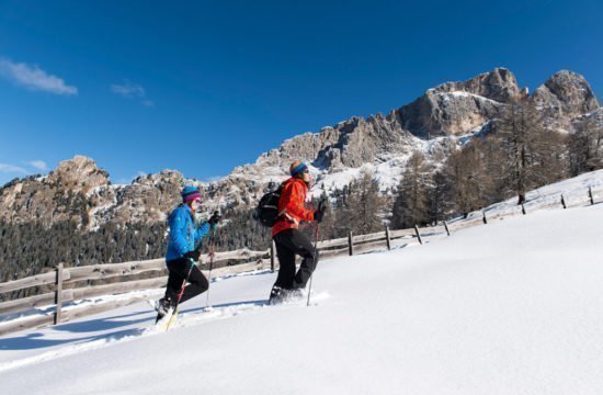 Schneeschuhwandern