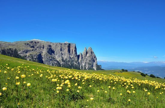 gatterpunerhof-fiè-allo-sciliar15