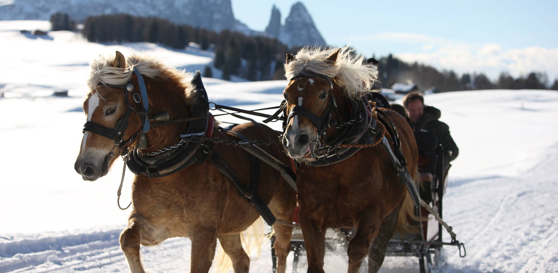 Skigebiet Seiser Alm