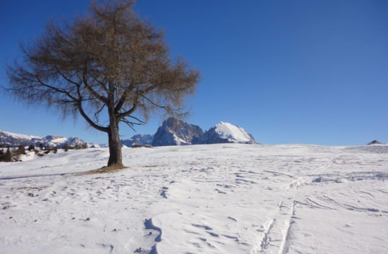 Winterlandschaft