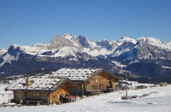 Almhütte im Winter