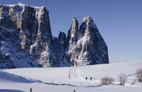 Winterurlaub auf dem Bauernhof